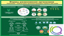 Стенд "Формы размножения организмов" - «globural.ru» - Саяногорск