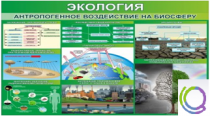 Стенд "Экология. Антропогенное воздействие на биосферу" - «globural.ru» - Саяногорск