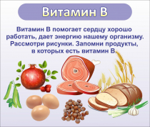 Стенд "Витамин В" - «globural.ru» - Саяногорск