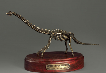 Модель скелета динозавра Brachiosaurus - «globural.ru» - Саяногорск