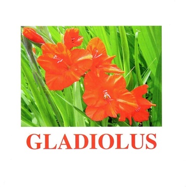 "Flowers-1" ("Цветы-1") английские карточки Домана - «globural.ru» - Саяногорск