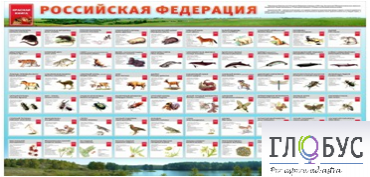 Стенд "Красная книга РФ" - «globural.ru» - Саяногорск