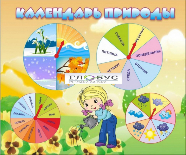 Стенд "Календарь природы" (вариант 1) - «globural.ru» - Саяногорск