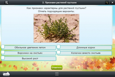 Интерактивные курсы. Окружающий мир 3 класс. Базовый - «globural.ru» - Саяногорск