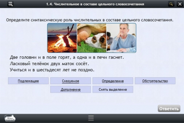 Интерактивные курсы. Русский язык 6 класс. Базовый - «globural.ru» - Саяногорск