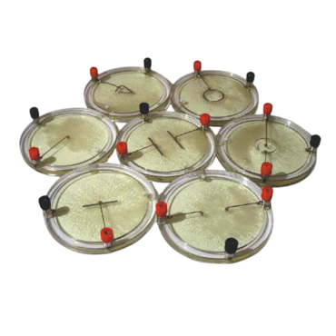 Демонстрационный комплект «Силовые линии электрического поля разных систем зарядов» - «globural.ru» - Саяногорск